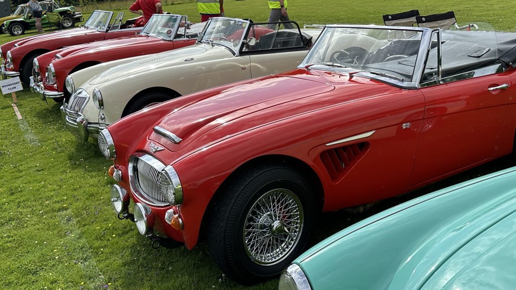 Totnes Classic Car Show 2025 (36)