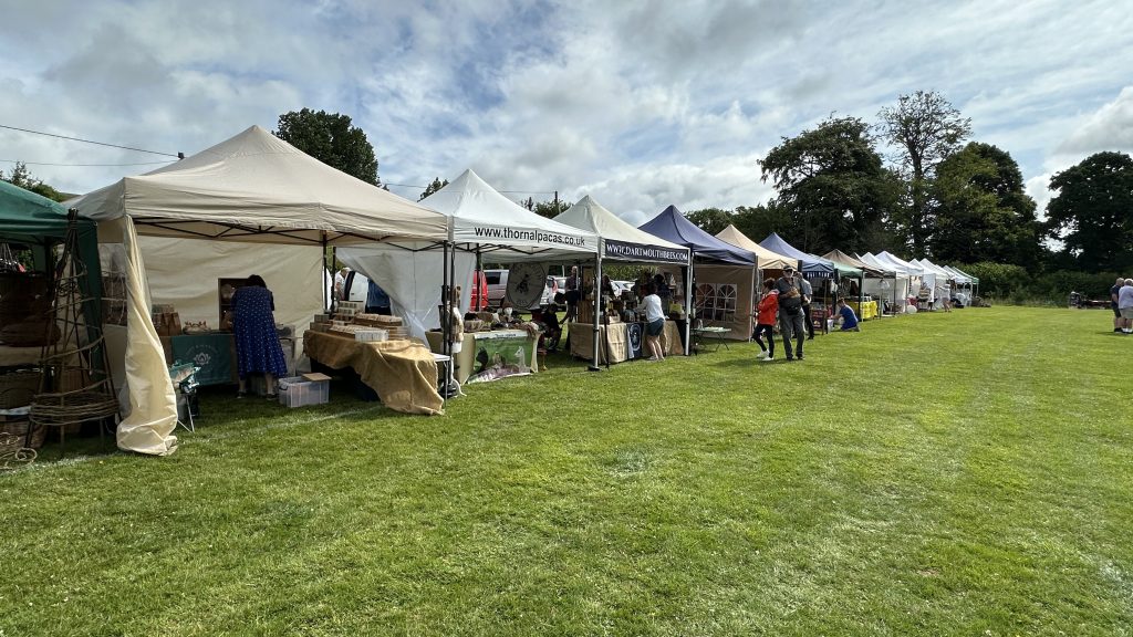 Totnes Classic Car Show 2025 (44)