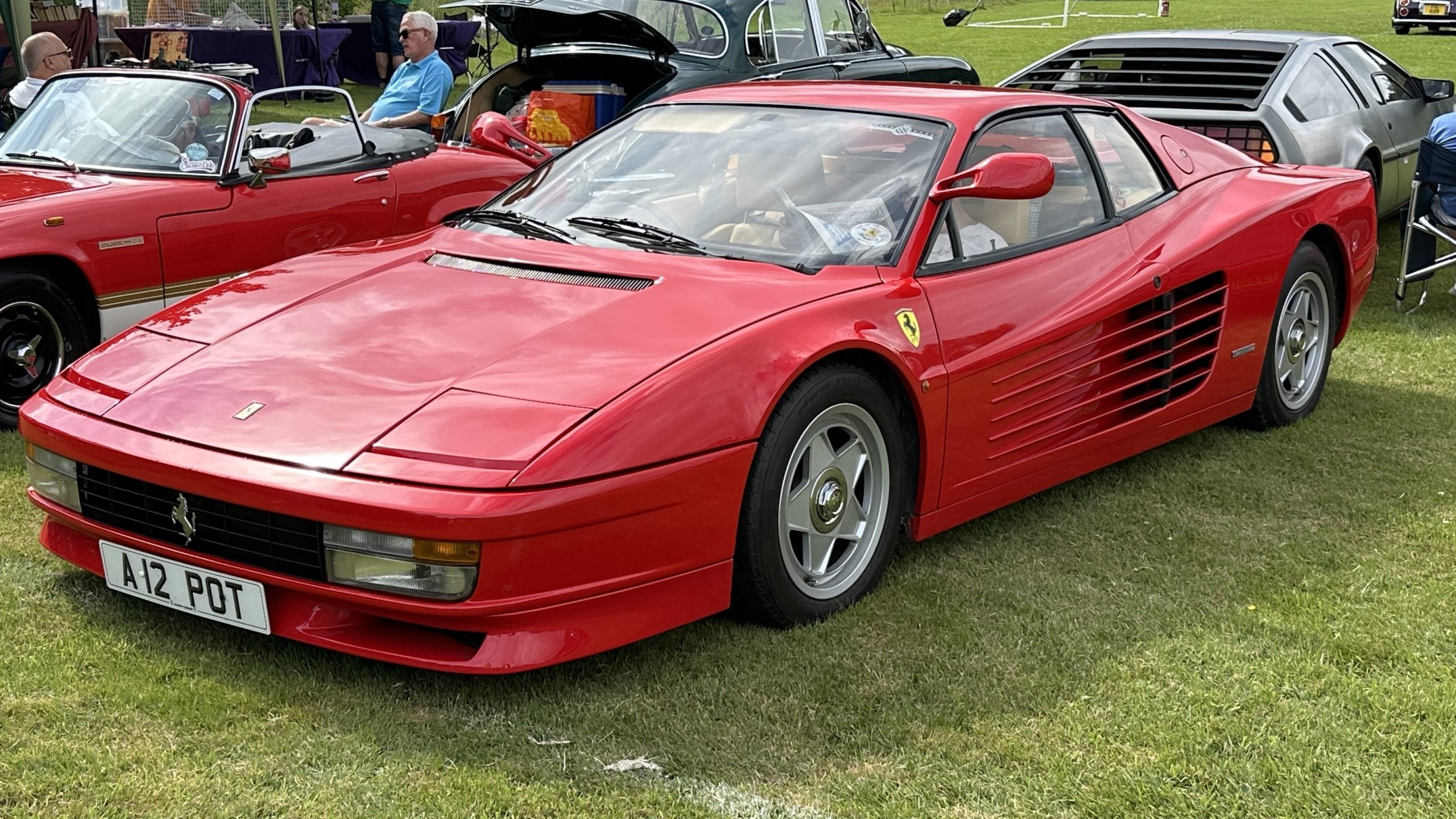 Totnes Classic Car Show 2025 (46)