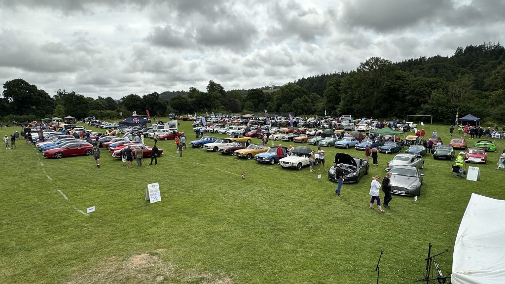 Totnes Classic Car Show 2025 (6)